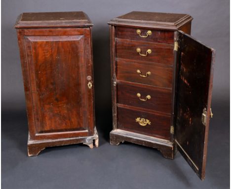 A pair of 19th century mahogany pedestal cabinets, each with rectangular panel door enclosing five graduated drawers, brass s