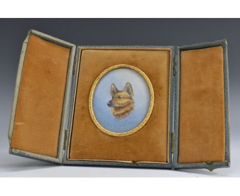 English School (early 20th century), a canine portrait miniature, head of a long haired dog, watercolour and gouache, oval, 7
