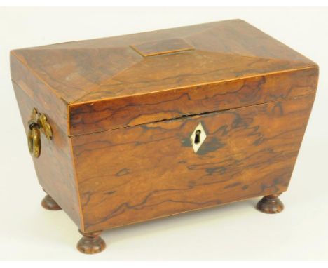 AN UNUSUAL REGENCY WOOD TEA CADDY