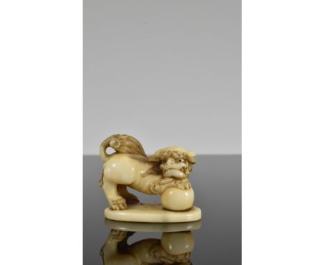 Hervorragendes Netsuke. Shishi hält mit einer Tatze seinen Ball. Ovaler Sockel. Elfenbein. Japan, Ende 18. Jh. L 3 cmCITES vo