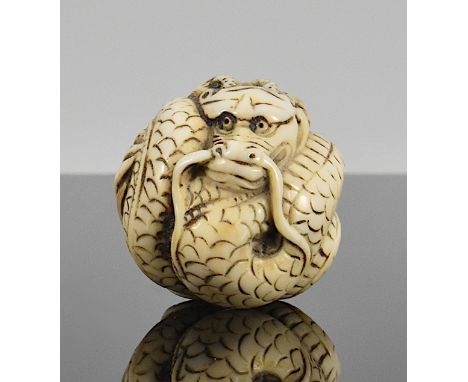Ojime / Netsuke. Aufgerollter Drache. Elfenbein. Japan, 19. Jh. Ø 2,5 cmCITES vorhanden. Verkauf innerhalb der EU legal.This 