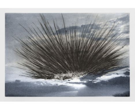  041 - - Arnulf Rainer.  (1929 Baden b. Wien - lebt in Wien). Schwarze Strahlen. Kaltnadelradierung über Heliogravure auf Zer