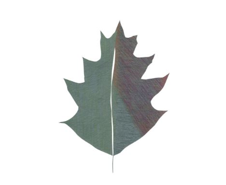  131 - - Susanne Giring. TropicalLeaf_010. 2019. Buntstift, Collage / Papier, ungerahmt. 42 cm x 29,7 cm. Signiert, ungerahmt