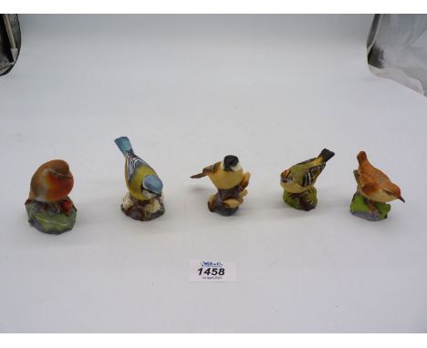 Five Royal Worcester matt finish birds including Marsh Tit, Wren, Blue Tit, Gold Crest and Robin.