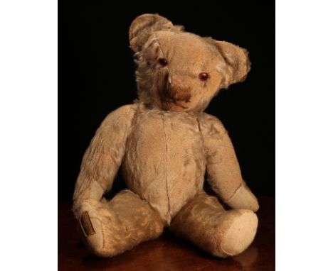 A 1930's Merrythought golden mohair jointed teddy bear, amber and black glass eyes, pronounced snout with vertically brown st