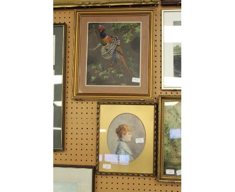 2 watercolour pictures, portrait and pheasant