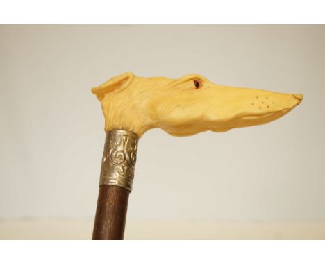 Walking stick - handle in the form of a dogs head