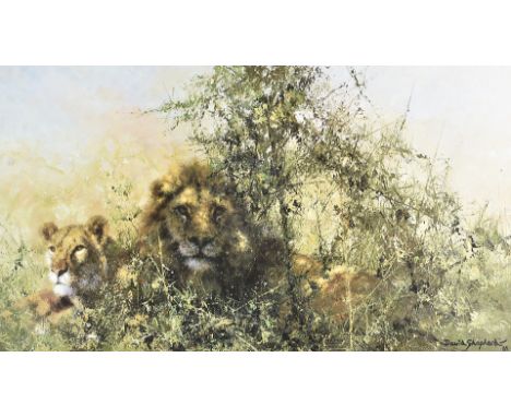 A signed Limited Edition David Shepherd print, 'Cool Cats', signed to border, 296/850, 28 cm x 43 cm, framed and glazed