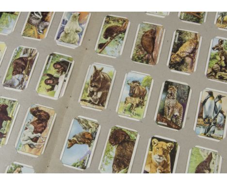 Cigarette Cards, Gallaher, a variety of sets displayed on slot in card, to include Wild Animals, Garden Flowers, Army Badges,