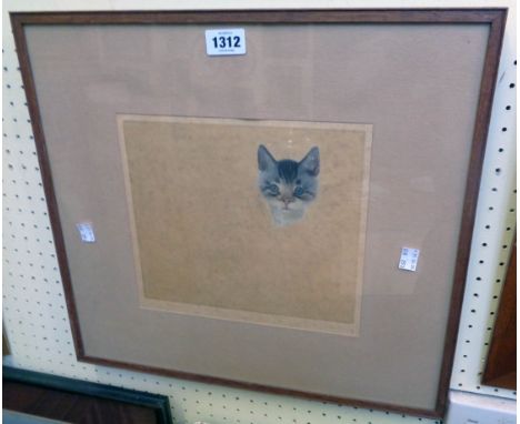 A framed coloured etching, depicting a kitten's head and loose sketch outline of body - signed in pencil