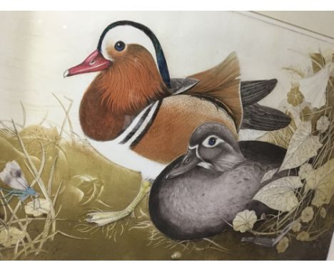 A framed coloured mezzotint Print depicting a Mandarin Duck and Drake, signed limited edition, and one other signed limited e