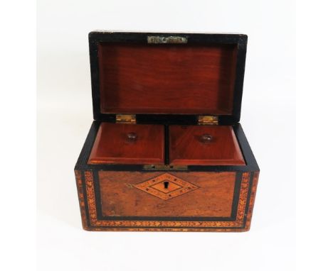 A Nineteenth Century Parquetry Inlaid Twin Tea Caddy