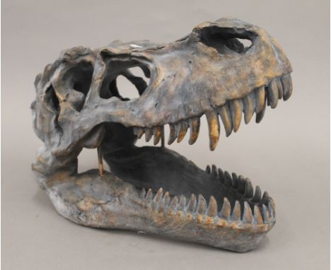 A model of a T-Rex skull.