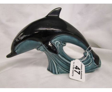 Poole dolphin