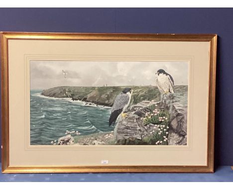 DAVID M TEAGUE, British, C20th, watercolour on paper of two kestrels, in a coastal scene, signed lower right, dated 1990, 48 