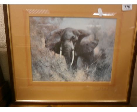 David Shepherd; a signed print of a male elephant; signed lower right; framed and glazed