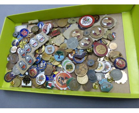 Good Group of Enamel Badges including Military, Sporting, etc plus some loose coins