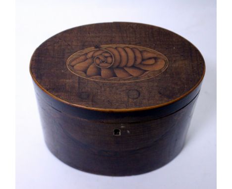 AN ANTIQUE OVAL MAHOGANY TEA CADDY  with decorative inlay to the lid in the form of a shell, 14cm wide x 12cm high
