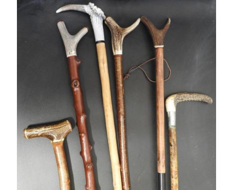 SIX 20TH CENTURY SCOTTISH WALKING STICKS&nbsp; with antler tops and a box of raw antler and horn ?blanks? for walking stick f