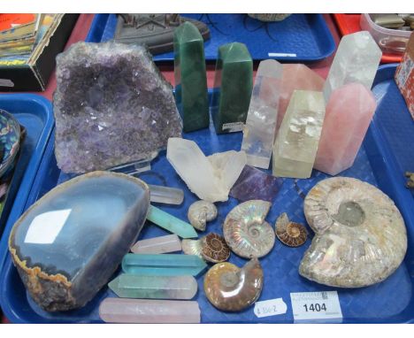 Ammenites, amethyst geode, mineral samples, including rose quartz, aventurine etc:- One Tray.