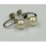 A pair of 9ct gold and pearl earrings