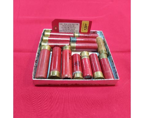 Two 4 bore cartridges (plus one empty case) with eleven various 8 bore cartridges, this item can only be purchased by someone