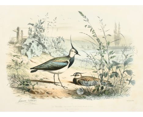 Edouard Travies (19th Century) French, 'Le Venneau', hand-coloured lithograph, 13.75" x 18", (35 x 46cm).
