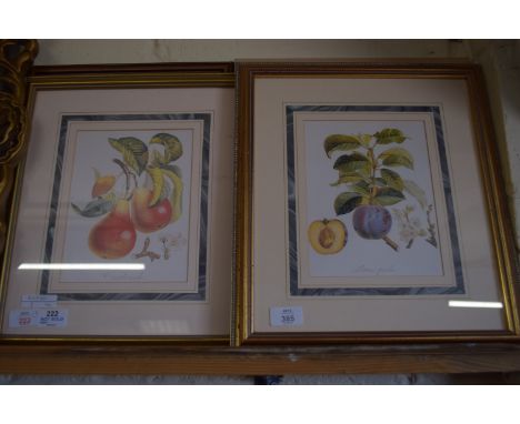 TWO BOTANICAL INTEREST PRINTS, TOGETHER WITH FRAMED MODERN SAMPLER AND A FRAMED PRINT SIGNED E W HASLEHURST, NORWICH GUILDHAL