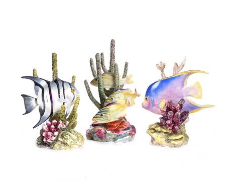 SET OF THREE ROYAL WORCESTER TROPICAL FISH FIGURES.SPADE FISH.BLUE ANGEL.YELLOW GRUNT.MODELLED BY R. VAN RUYCKEVELTHEIGHT: 6 