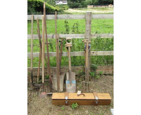 A collection of vintage garden tools, spades, forks, hoes, a post hole reamer, mainly with ash wood handles (20) 