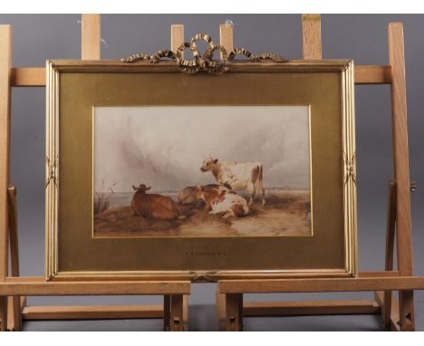 A 19th century watercolour sketch of three cattle on a hilltop, 18" x 13", mount inscribed "T S Cooper", in ribbon mounted gi