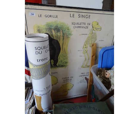 A Vintage French classroom poster depicting The Gorilla, and another