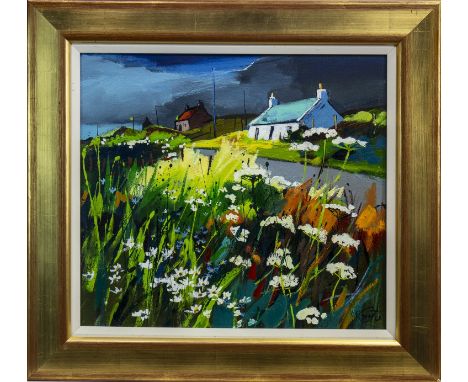 * PAM CARTER (SCOTTISH b 1952), SOUTH THRU' GEARY (ISLE OF SKYE) oil on board, signed 46cm x 51cm Framed and under glass. Pro