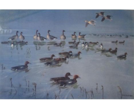 SIR PETER SCOTT CBE (British, 1909-1989), 'Ducks on a Pond', lithograph in colours, 1940, 38cm x 55.5cm, numbered 168/850, si