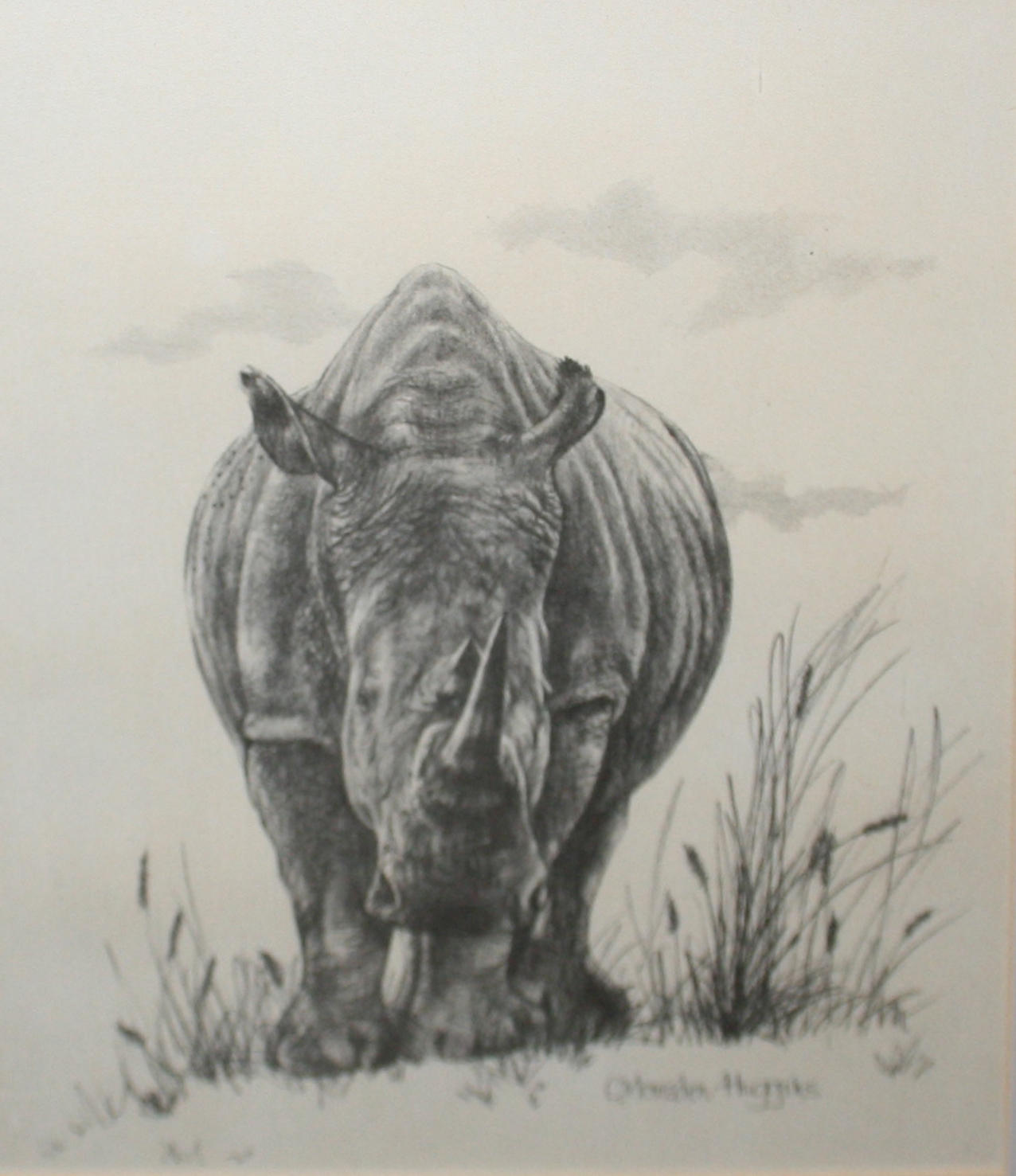 AFTER C MARSDEN-HUGGINS, GROUP OF SIX BLACK AND WHITE PRINTS, Rhino ...