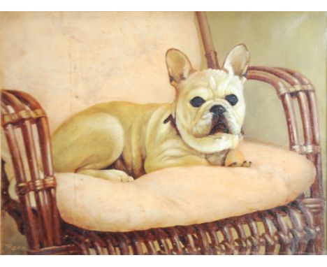 ROUX OIL PAINTING ON CANVAS Portrait of a French Bull dog seated on a cane chair Signed 12" x 16" (35 x 40.6cm)