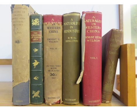 EARNEST H WILSON "A Naturalist in Western China" 1913 in 2 volumes; Major R Hingston "A Naturalist in Hindustan"; 1913 with r