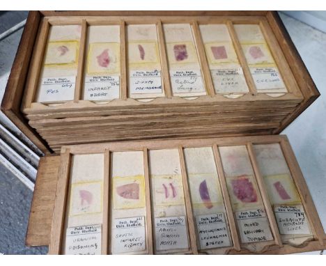 A microscope slide case of 12 trays mainly filled with Sheffield pathology slides