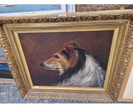English School (late 19th/early 20th Century), Portrait of a rough collie, oil on canvas.