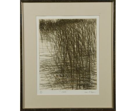 Liam O'Broin (Irish, 1944-) Reedssigned 'Liam O'Broin' (lower right); numbered 10/35etching31 x 24.5cm