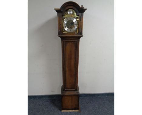 A Tempus Fugit granddaughter clock with brass dial.