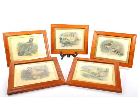 A collection of five 20th Century vintage maple framed and glazed game bird prints to include a mallard, pheasants, capercail
