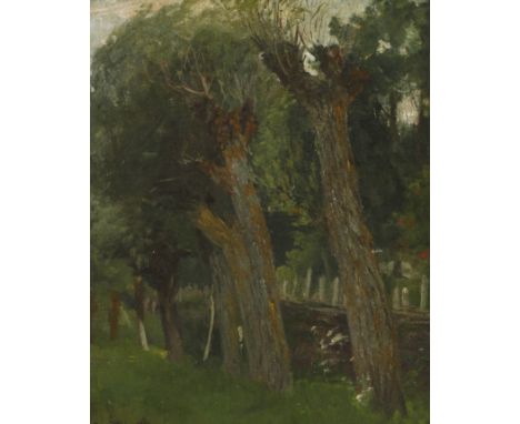 Hans Völcker, Alte Weidenprächtige alte Weiden am Rand einer saftig grünen Sommerwiese, im Hintergrund Zaun und Wald, gering 