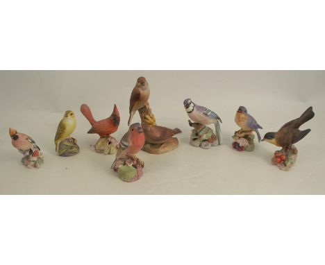 A collection of five single Royal Worcester bird models, one double Royal Worcester bird, and two unmarked bird modelsConditi
