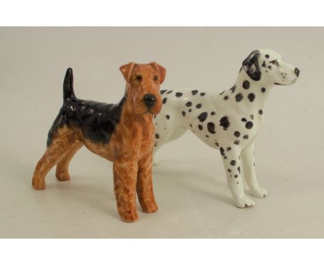 A Royal Worcester model, of an Airedale terrier, height 2.75ins, together with a Royal Worcester model of a Dalmatian, shape 
