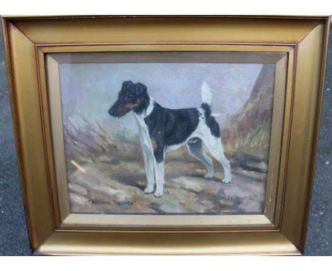 Frederick Thomas Daws (born 1878) - Oil painting - Portrait of a Fox Terrier 'Heleva Topnote', 31cm x 41cm, signed and dated 