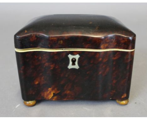 A 19th Century tortoiseshell single compartment tea caddy, with canted corners and domed cover, pewter stringing, on squat bu