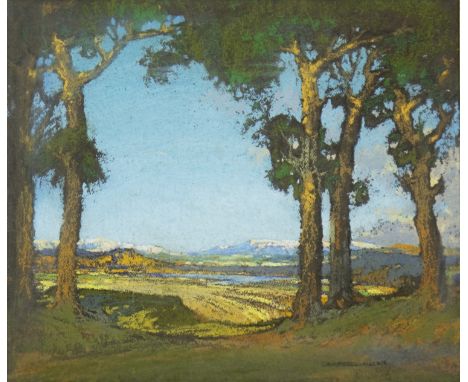 * THOMAS CALLENDAR CAMPBELL MACKIE (SCOTTISH 1886 - 1952), THROUGH THE TREES pastel on paper, signed 25cm x 30cm Mounted, fra