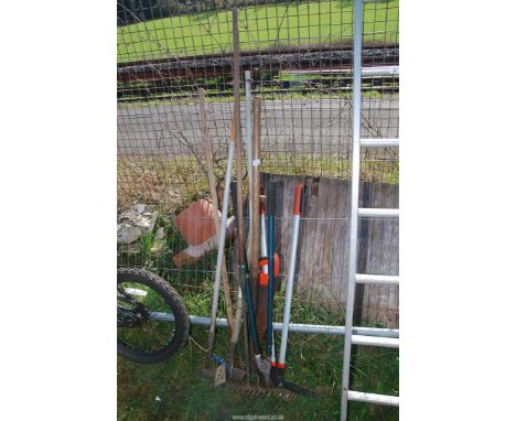 A quantity of garden tools, loppers, rake, etc.