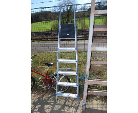 A MacAllister aluminium step ladder.